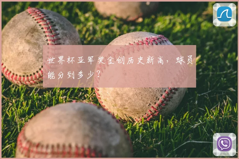 世界杯亚军奖金创历史新高，球员能分到多少？