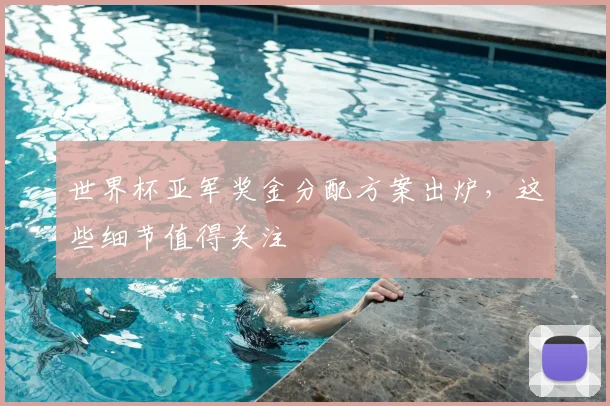 世界杯亚军奖金分配方案出炉,这些细节值得关注